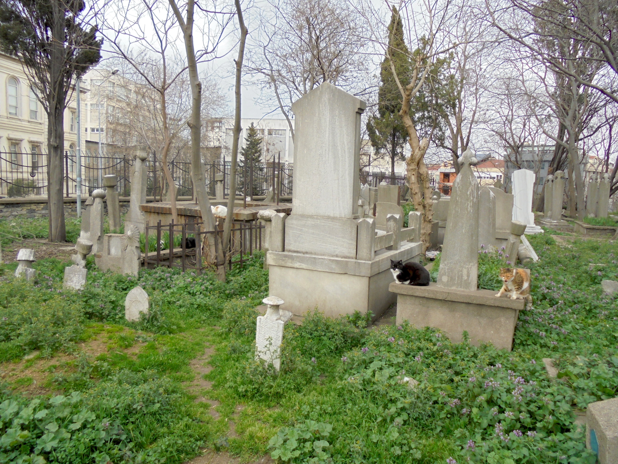 istanbul7