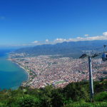 ordu