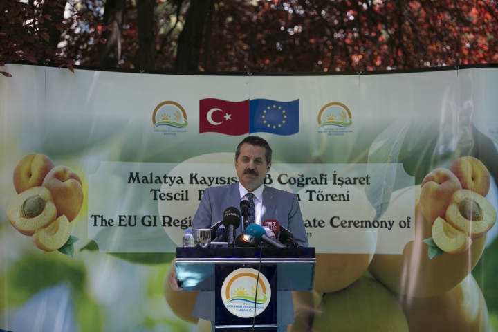 Malatya Kayısısı