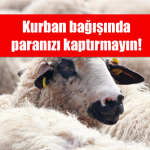 Kurban,bağış,dolandırıcı