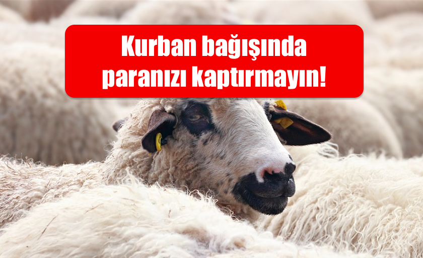 Kurban,bağış,dolandırıcı