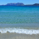 tatil,sahil