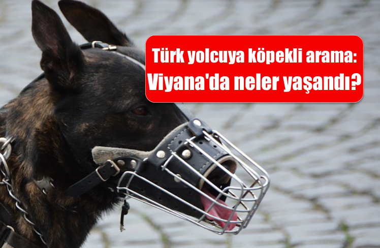 Köpek