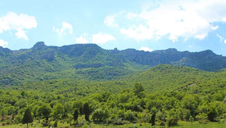 Konya kuğulu park