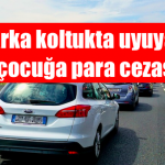 koltuk2