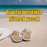 kumsal
