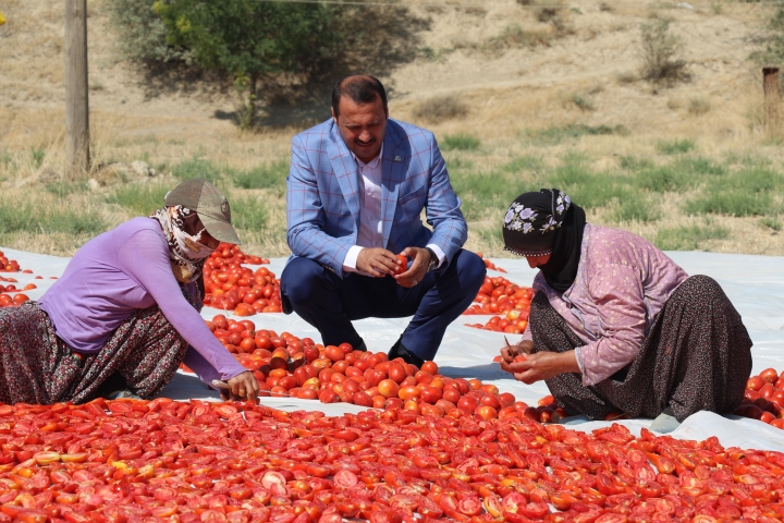 Elazığ’da kurutulan domatesler