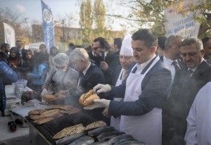 Balık Tüketimi