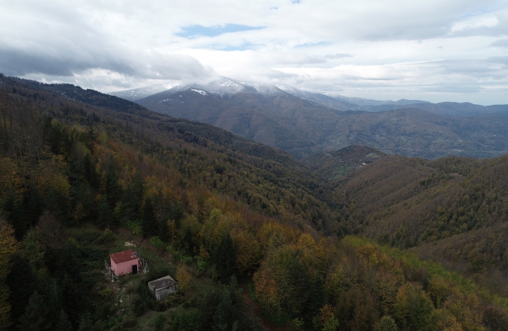 Küre Dağları 