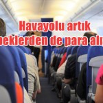 Havayolu