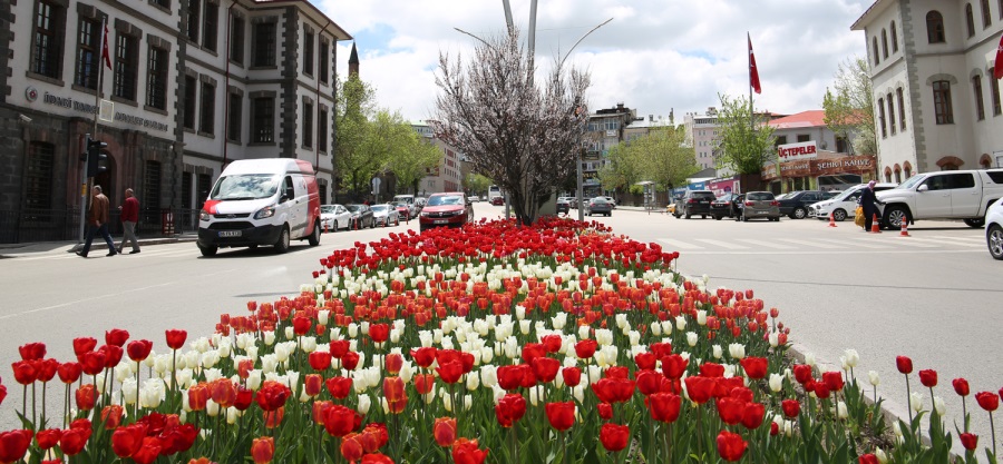 Erzurum