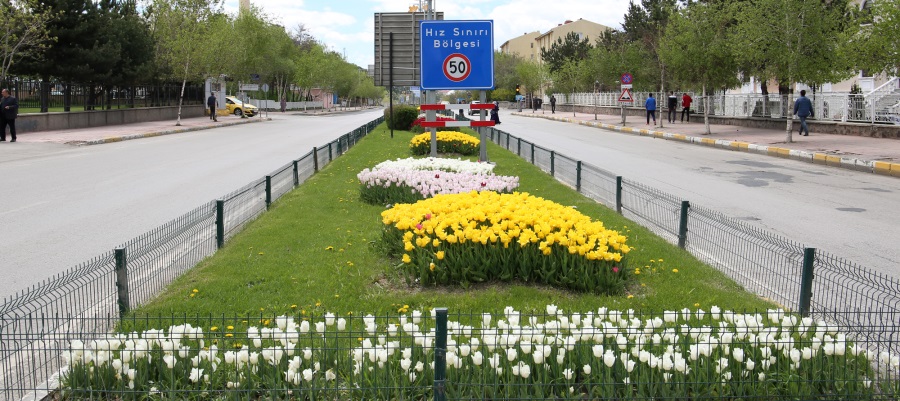 Erzurum 