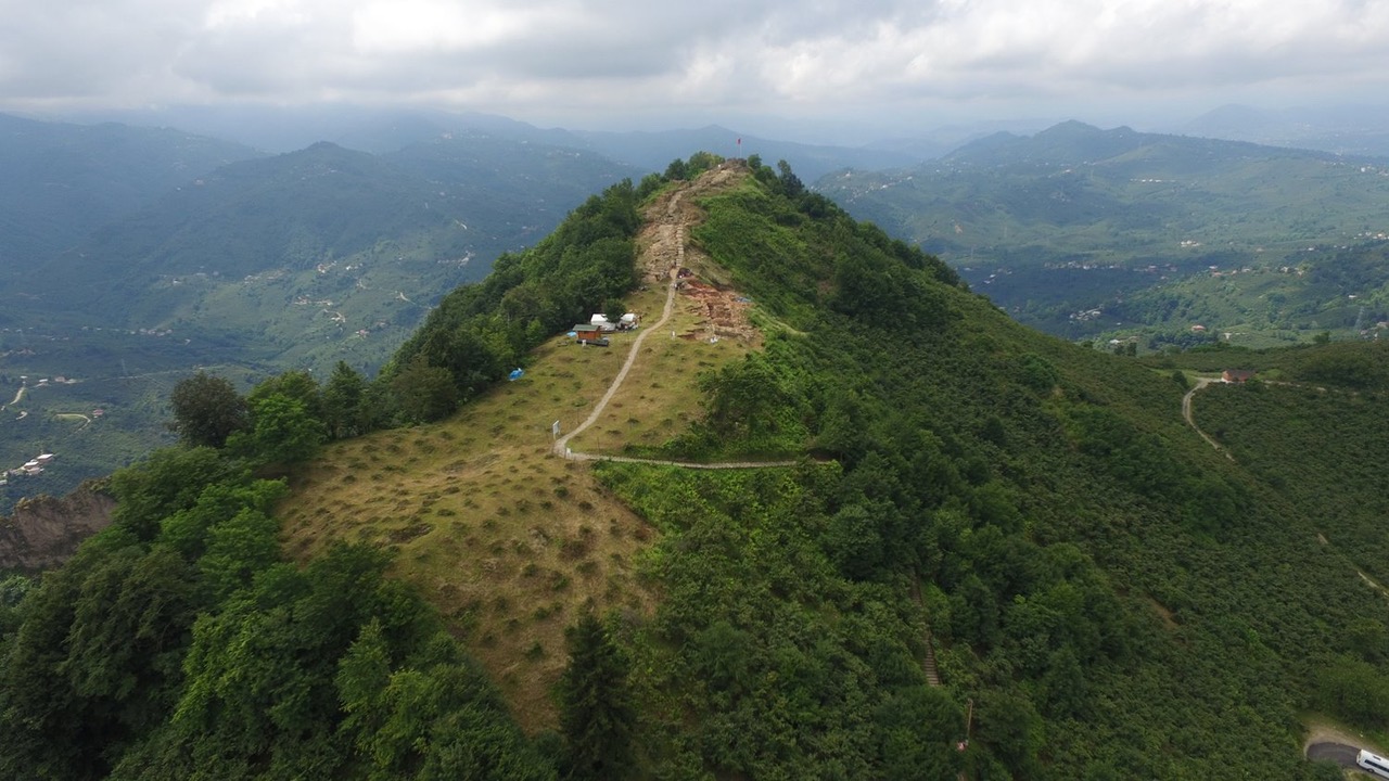 ordu