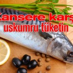 kanser, uskumru