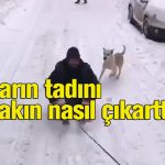 Yıllar sonra