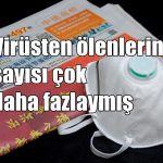 sayısı