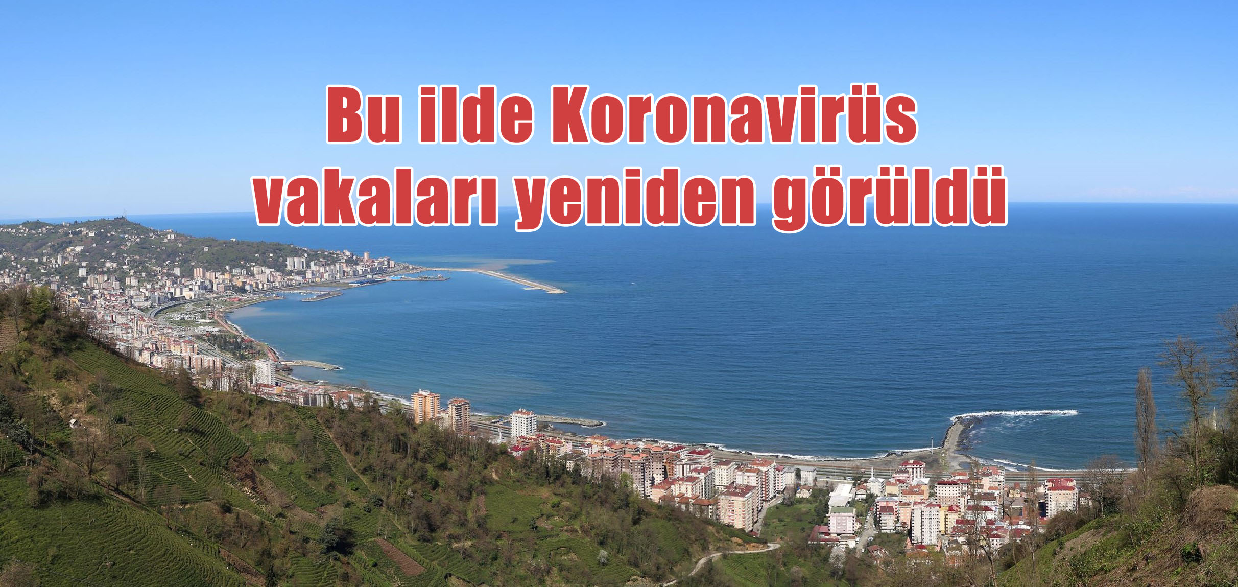 koronavirüs