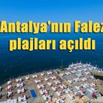 falez