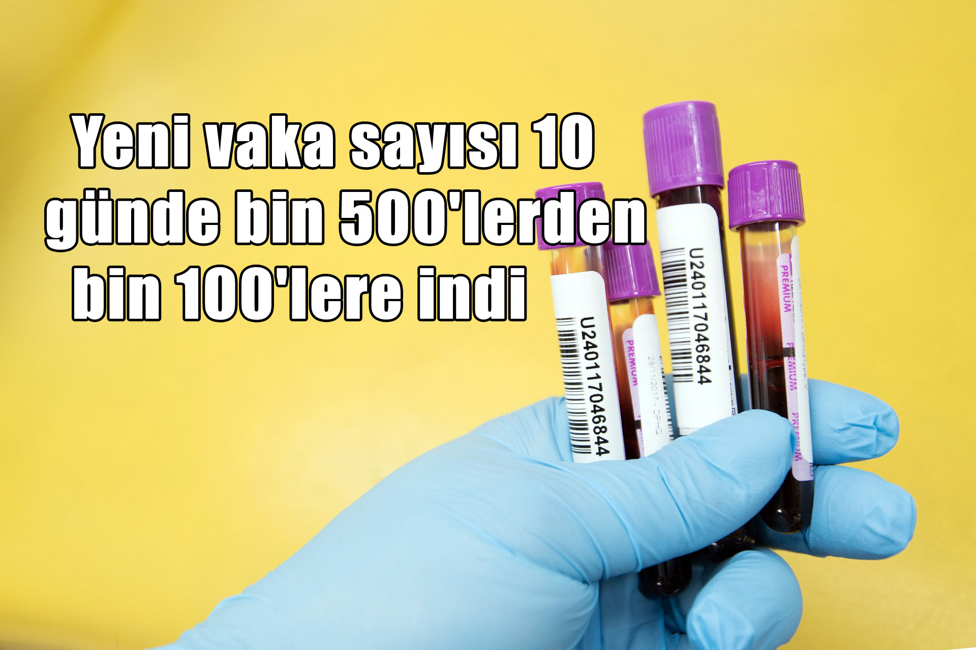 vaka