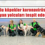 koronavirüs