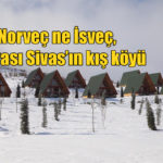 Norveç