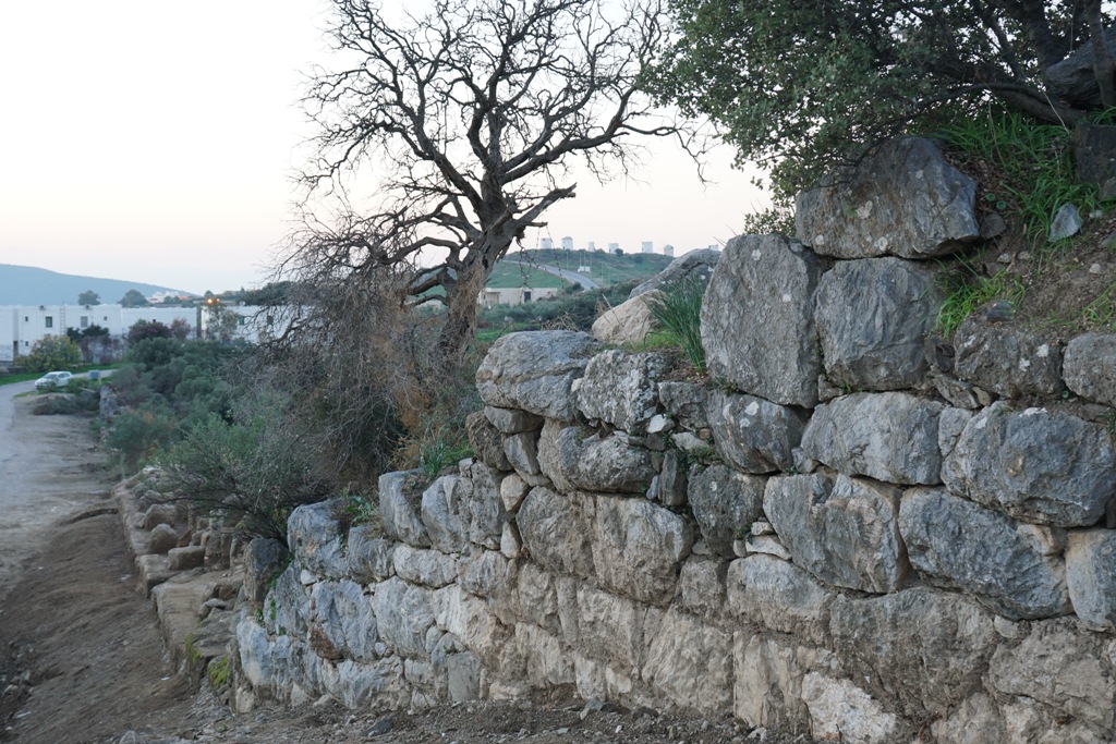 tarihi