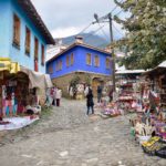 Bursa