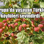 Türkler