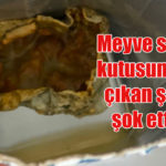 Meyve suyu