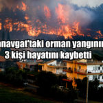 orman