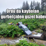 güzel