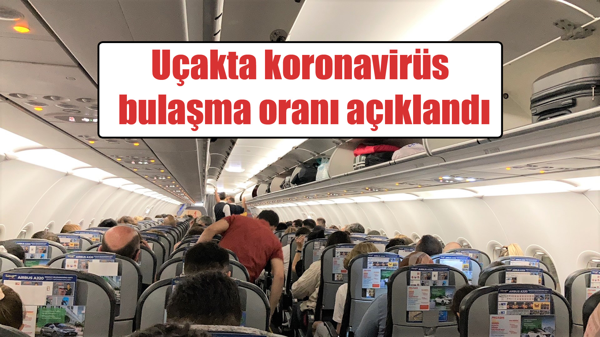 koronavirüs