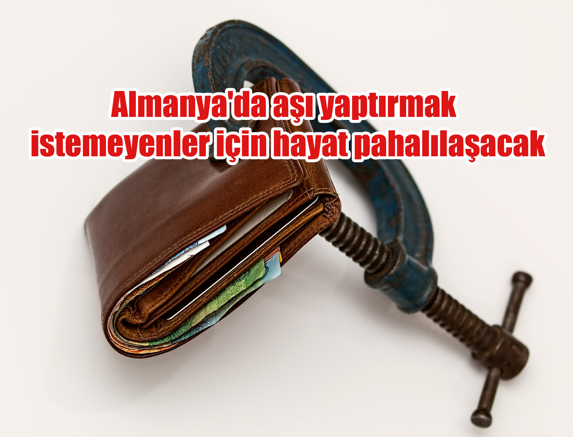 hayat
