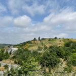 Arsa