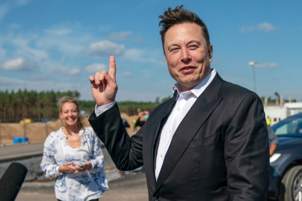 Elon Musk hayranlığı heykel yaptırdı