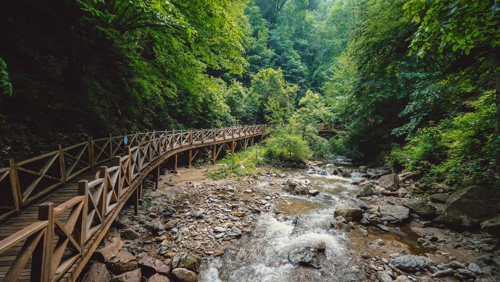 Avrupa’da bulamadığı şifayı burada buldu