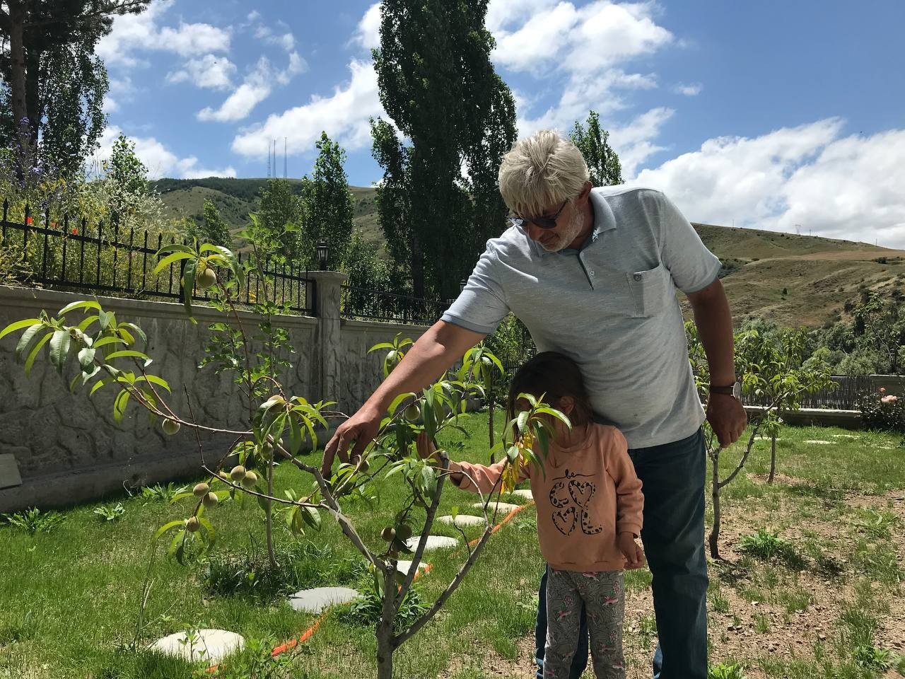 Gurbetçi, memleketine 500 adet meyve ağacı dikti