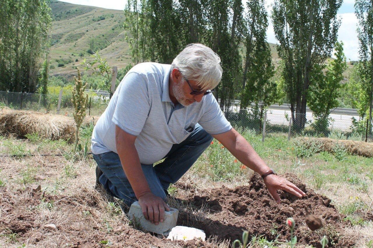 Gurbetçi, memleketine 500 adet meyve ağacı dikti