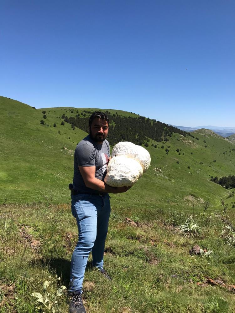 Bulduğunda kaya sandı, ne olduğunu anlayınca şok oldu