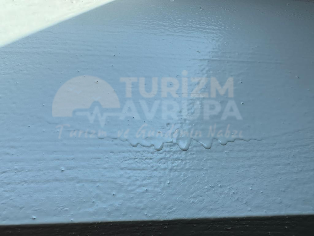 Sözde usta