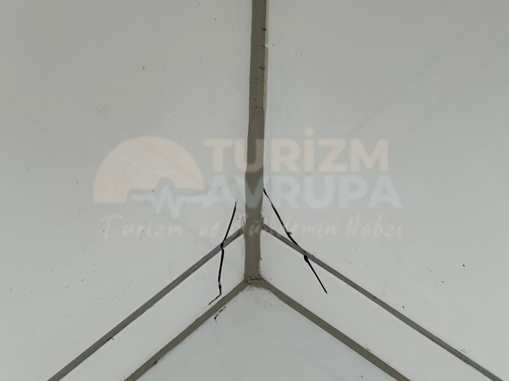 Sözde usta
