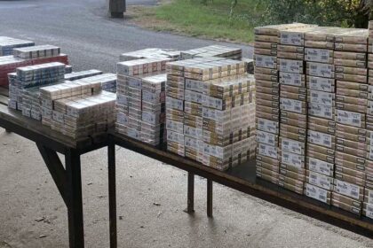 Sırbistan 2700 paket sigarayı bakın nasıl buldu