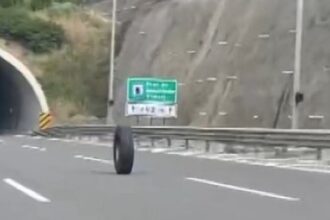 teker, otoban, kamyon