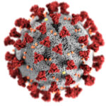 Koronavirüs yeni varyant