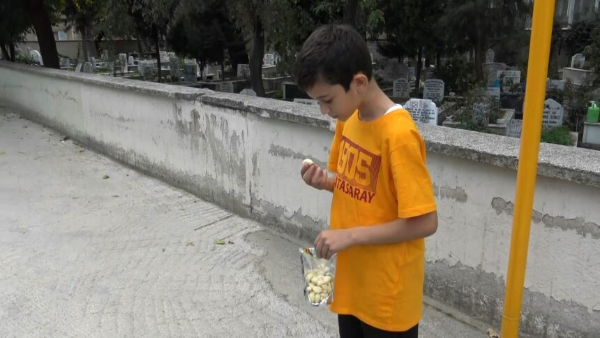 sarımsak çocuk soğan