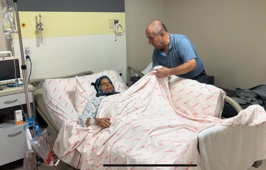 gelin kaynana karaciğer