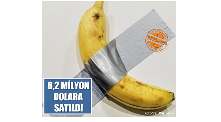 DOLAR