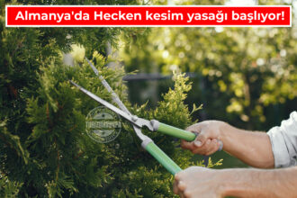 çalı