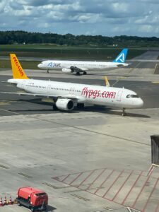 pegasus